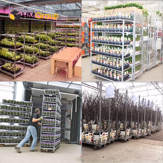 Horticultural Danish Flower Greenhouse Transport Mushroom Mobile Shelving for Sale